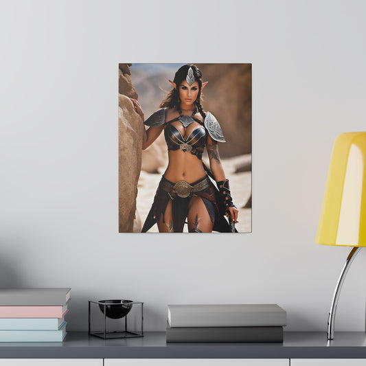 Women of fantasy: elf in battle gear